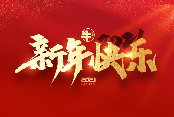 麗水市威儀自動(dòng)化技術(shù)有限公司祝全國(guó)人民2021年新年快樂！